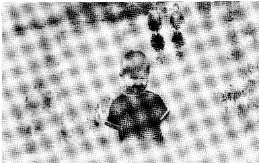 Lessard children when the creek flooded in the spring.